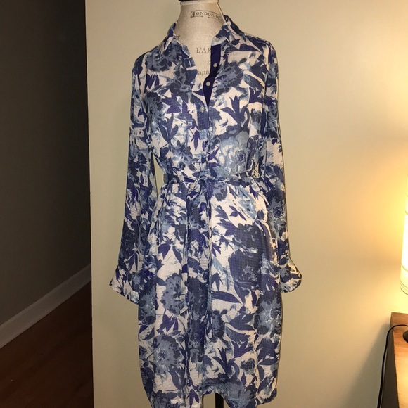 A Pea in the Pod Paris Blues Maternity Shirt Dress - Picture 3 of 8